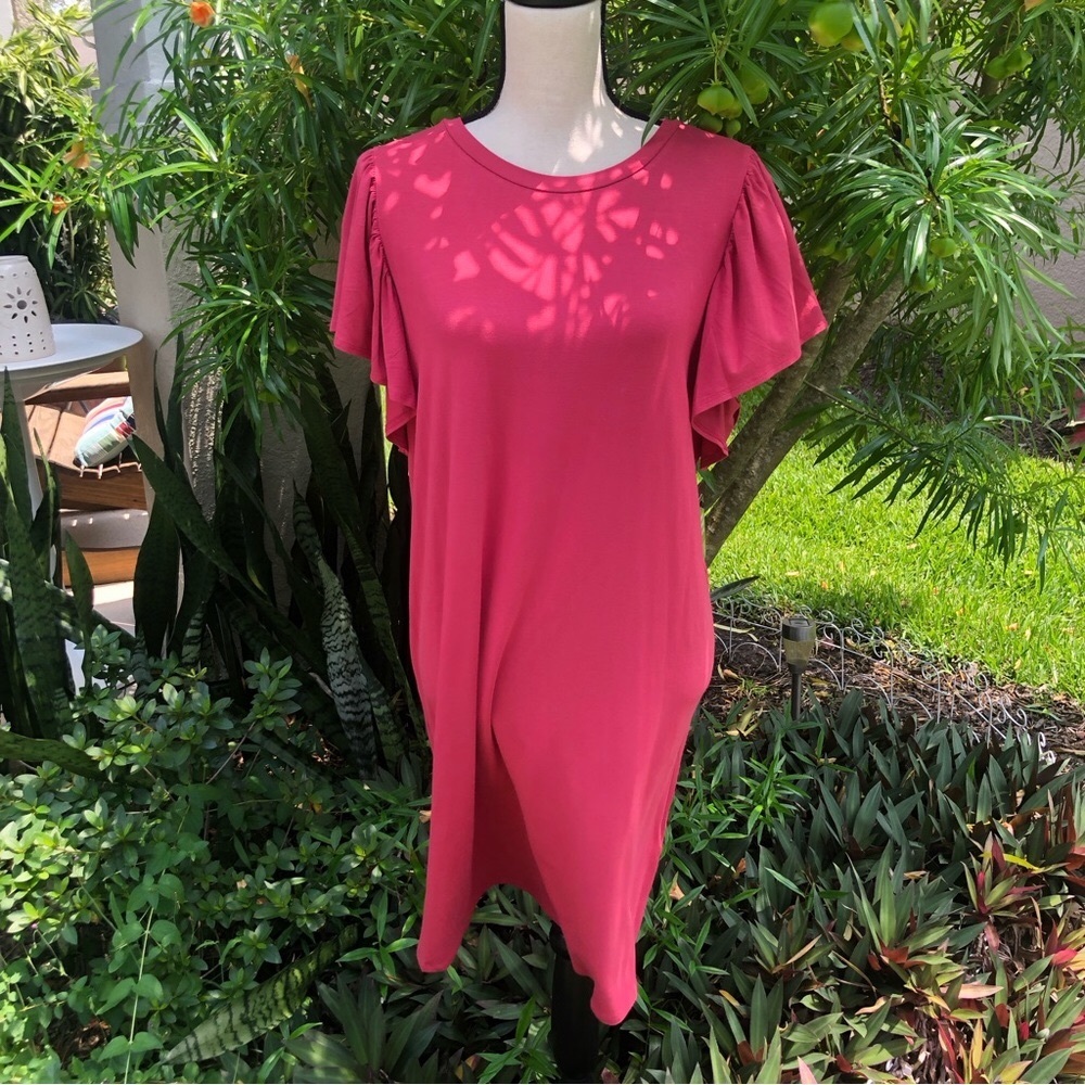 Express flutter sleeve dress.  NWT